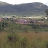 Amampela Nyampila