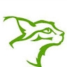 Missing Lynx