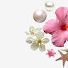 nuzhat  