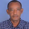 abebe arba