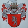 Ivan Radičević