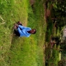 ALPHINE AWUOR