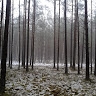 Gaja Danieliūtė-Lapinskaitė