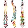 Astoria Chiropractic