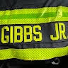 Raphael Gibbs