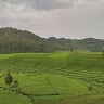 Mashyuza Rice Mill