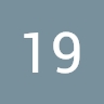 19 radik