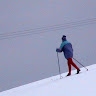 jakub yellen