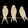 SongBurdMusicStudio  