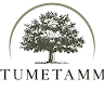Timo Tammik