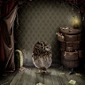 Dace Jansone