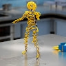Studio Morfi 3D
