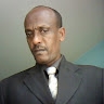 alemu gonfa robi