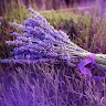 Оксана Оксана