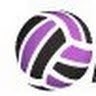 Volleyball Elite