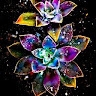 Ann Marie Loucks