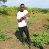 Lubega Colins