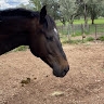 Kelly Doubleday