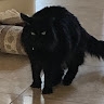 Chase  