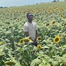 Ojeniyi Akinjide