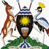 Ebine Tonny