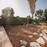 Lala Land Home Buyers