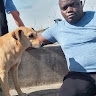King Solomon