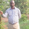 WILBERT MUWOYA