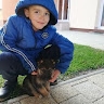 Ružica Lenđer