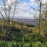 Марина Шинкарева