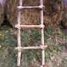 AP Bosnjak