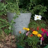 Natural Ground 1