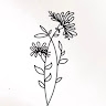 StellaTereza Makridou