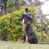 bernard abuga