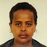 misrak berhanu