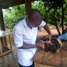 Beaugelais D. Kouakanou