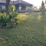 Yuda Chenda