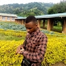 NDAYAMBAJE Viateur