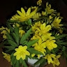 Giedre Bazileviciene