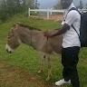 JEAN BAPTISTE NSABIYERA