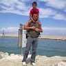 Altin Bardhi