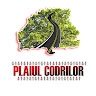 GAL Plaiul Codrilor