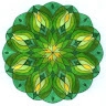 Iva Markova