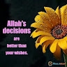 Najma Ahmed