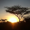 Eric Muthoga