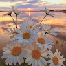 Georgia  