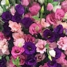 Inna Mos