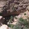 mohamed anas mabruk