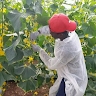 SIBOMANA Athanase