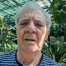Cernescu Costin